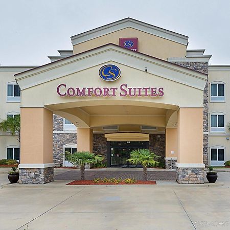 Comfort Suites Leesville エクステリア 写真
